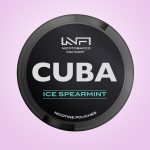 Pouch Nicotina Ice Spearmint Cuba 30mg/g (20mg/pouch)